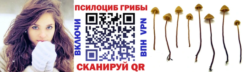 Псилоцибиновые грибы ЛСД  KRAKEN рабочий сайт  Уссурийск 
